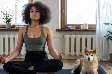Home Fitness - Free stock photo of afro, afro hair, animal