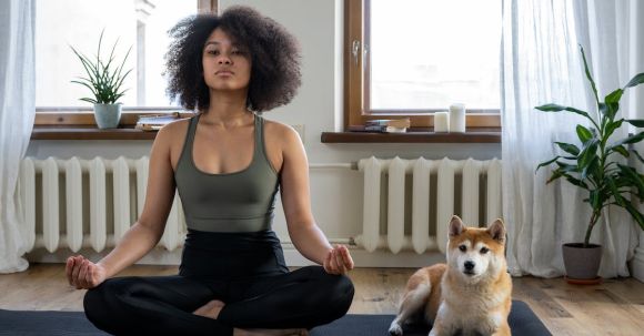 Home Fitness - Free stock photo of afro, afro hair, animal