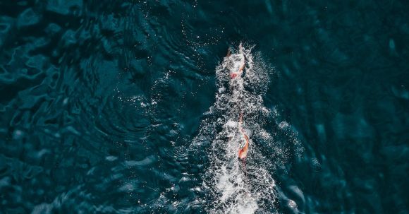 Race Challenge - Drone view of swimmers in sea water swimming during challenge with emergency boat rowing ahead