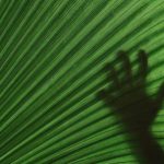 Organic Reality - Free stock photo of abstract, art, artistic